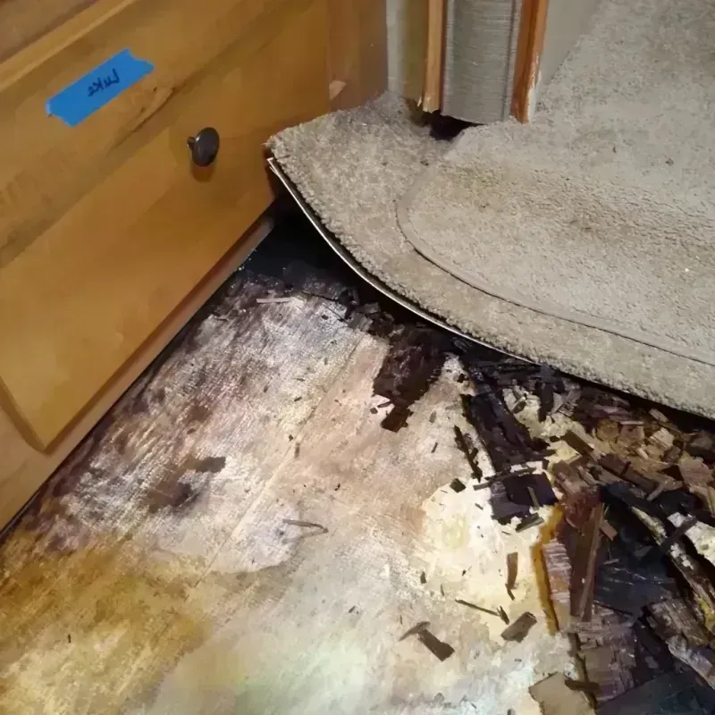 Wood Floor Water Damage in Randolph, NJ